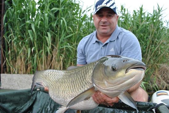 Cu ce nadim la amur?